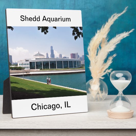 Chicago Shedd Aquarium Collection Fotoplatte (Seite)