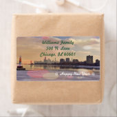 Chicago Skyline (Insitu)