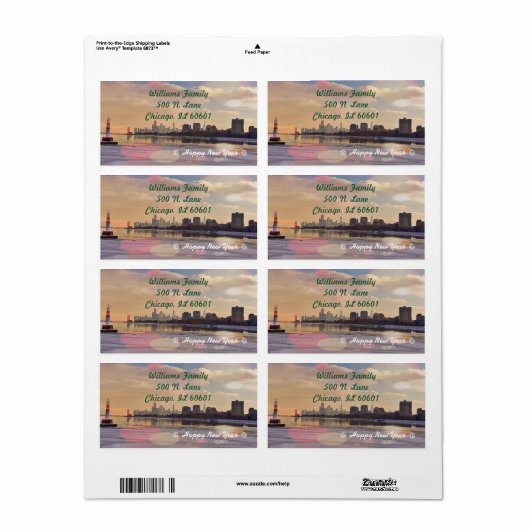 Chicago Skyline (Vorne)