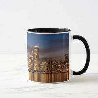 Chicago Skyline