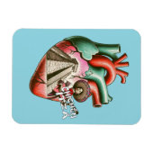 Chichén Itzá Mayan Pyramind Mexico Souvenir Magnet (Horizontal)