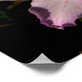 Chichen Itza, Yucatan, Mexiko Poster (Ecke)