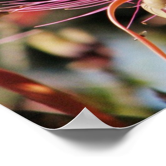 Chichen Itza, Yucatan, Mexiko Poster (Ecke)