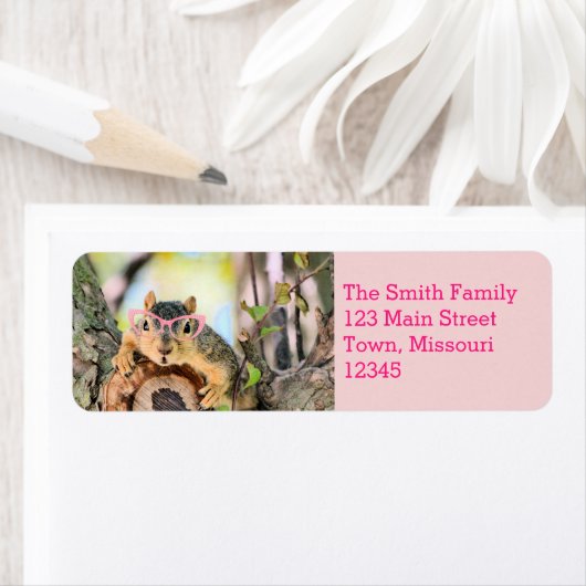 Chichhörnchen (Insitu)