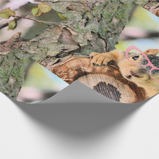 Chichhörnchen Geschenkpapier (Ecke)