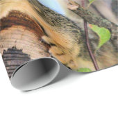 Chichhörnchen Geschenkpapier (Rolleneckpunkt)