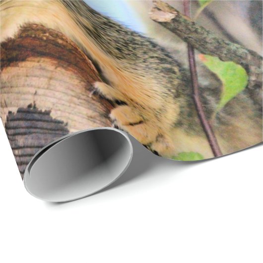 Chichhörnchen Geschenkpapier (Rolleneckpunkt)