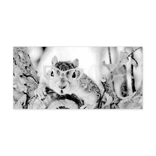Chichhörnchen Permastempel (Design)