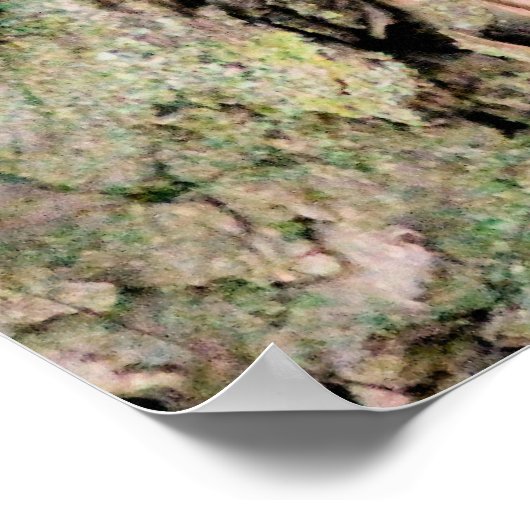 Chichhörnchen Poster (Ecke)