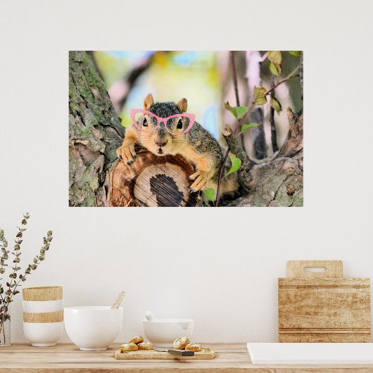 Chichhörnchen Poster (Küche)