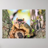 Chichhörnchen Poster (Vorne)