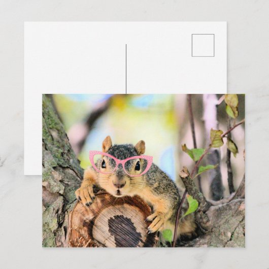Chichhörnchen Postkarte (Vorne/Hinten)