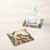 Chichhörnchen Rechteckiger Pappuntersetzer (Vor Ort)