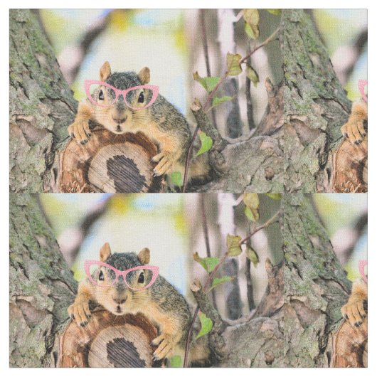 Chichhörnchen Stoff (Nahaufnahme)