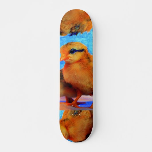 Chick-A-Dee-Light-Skateboard - Anpassbar Skateboard (Vorne)