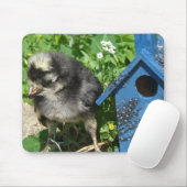 Chick and Mixed Media Birdhouse Mousepad (Mit Mouse)