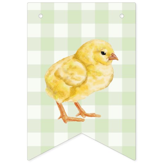 Chick And Pastel Eggs Happy Easter Green Gingham Wimpelkette (Zweite Fahne)