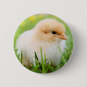 Chick Button (Vorderseite)
