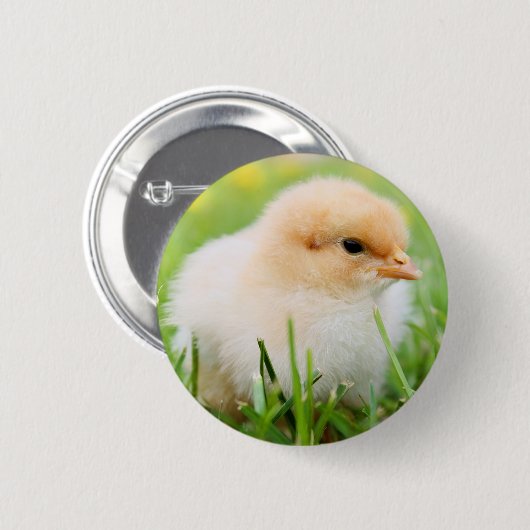Chick Button (Vorne & Hinten)