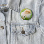 Chick Button (Beispiel)