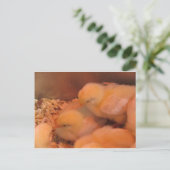 Chick Duo Postkarte (Stehend Vorderseite)