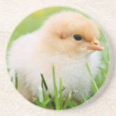 Chick Getränkeuntersetzer (Vorne)