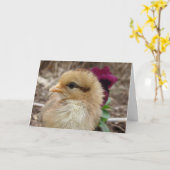 Chick in Pansy Garden Osterfest Karte (Gelbe Blume)