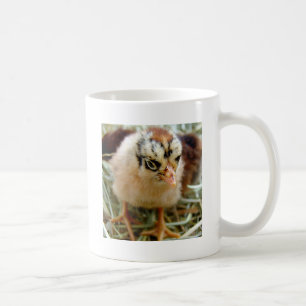 Chick Kaffeetasse