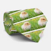 Chick Krawatte (Gerollt)