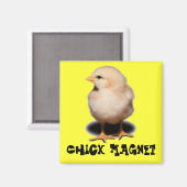 Chick Magnet (Vorderseite/Rückseite)