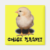Chick Magnet (Vorne)