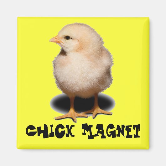 Chick Magnet (Vorne)