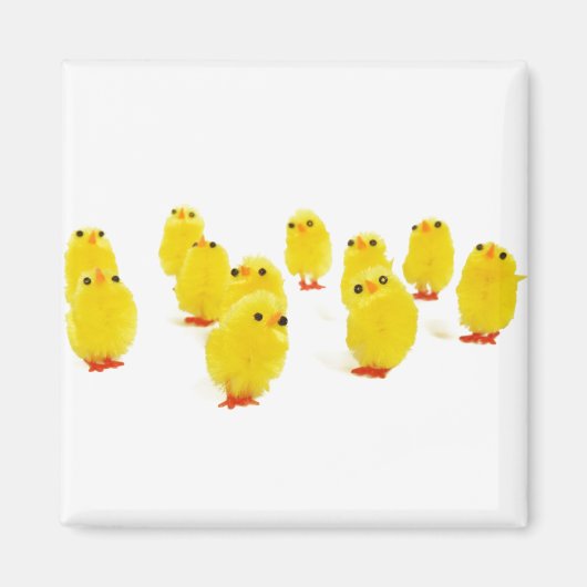 Chick-Magnet Chillout mit meinen Piepen lustiges F Magnet (Vorne)