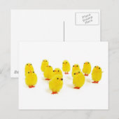 Chick-Magnet Chillout mit meinen Piepen lustiges F Postkarte (Vorne/Hinten)
