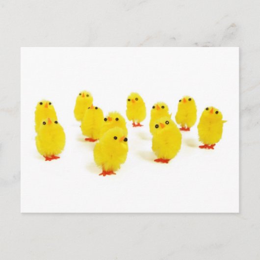 Chick-Magnet Chillout mit meinen Piepen lustiges F Postkarte (Vorderseite)