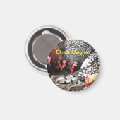 Chick Magnet - eine Gruppe farbiger Hühner (Vorderseite/Rückseite)