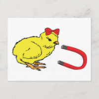 Chick Magnet lustiger Damenmensch