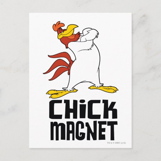Chick Magnet Postkarte (Vorderseite)