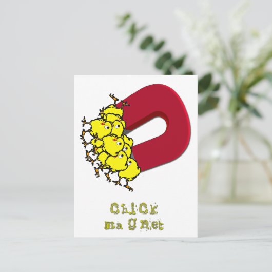 Chick Magnet Postkarte (Stehend Vorderseite)