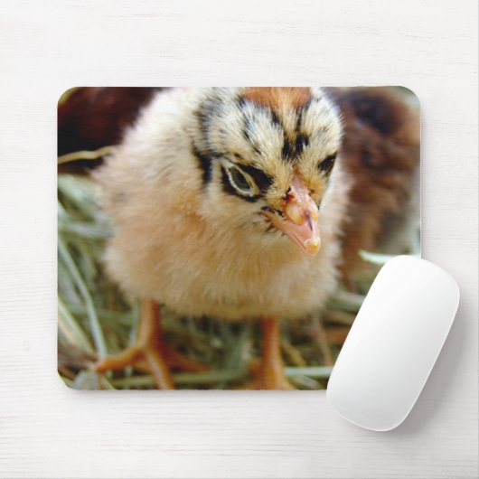 Chick Mousepad (Mit Mouse)