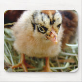 Chick Mousepad (Vorne)