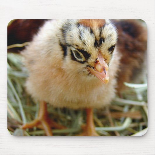 Chick Mousepad (Vorne)
