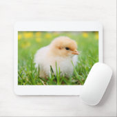 Chick Mousepad (Mit Mouse)