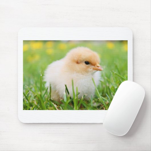 Chick Mousepad (Mit Mouse)