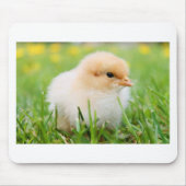 Chick Mousepad (Vorne)