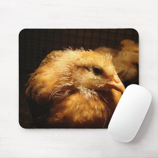 Chick Mousepad (Mit Mouse)