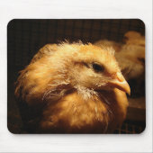 Chick Mousepad (Vorne)