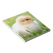 Chick Notizblock (angewinkelt)