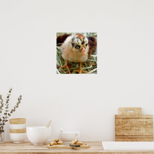 Chick Poster (Küche)