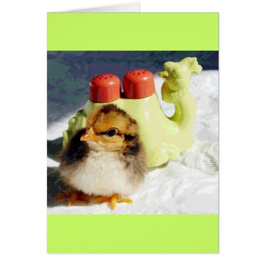 Chick und Camel (Vorne)